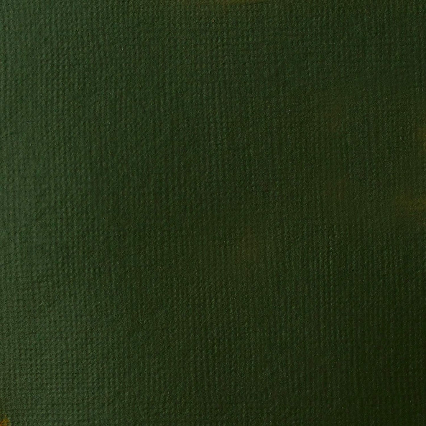 Liquitex BASICS Acrylic Paint, 118ml (4-oz) Tube, Hooker’s Green Hue Permanent