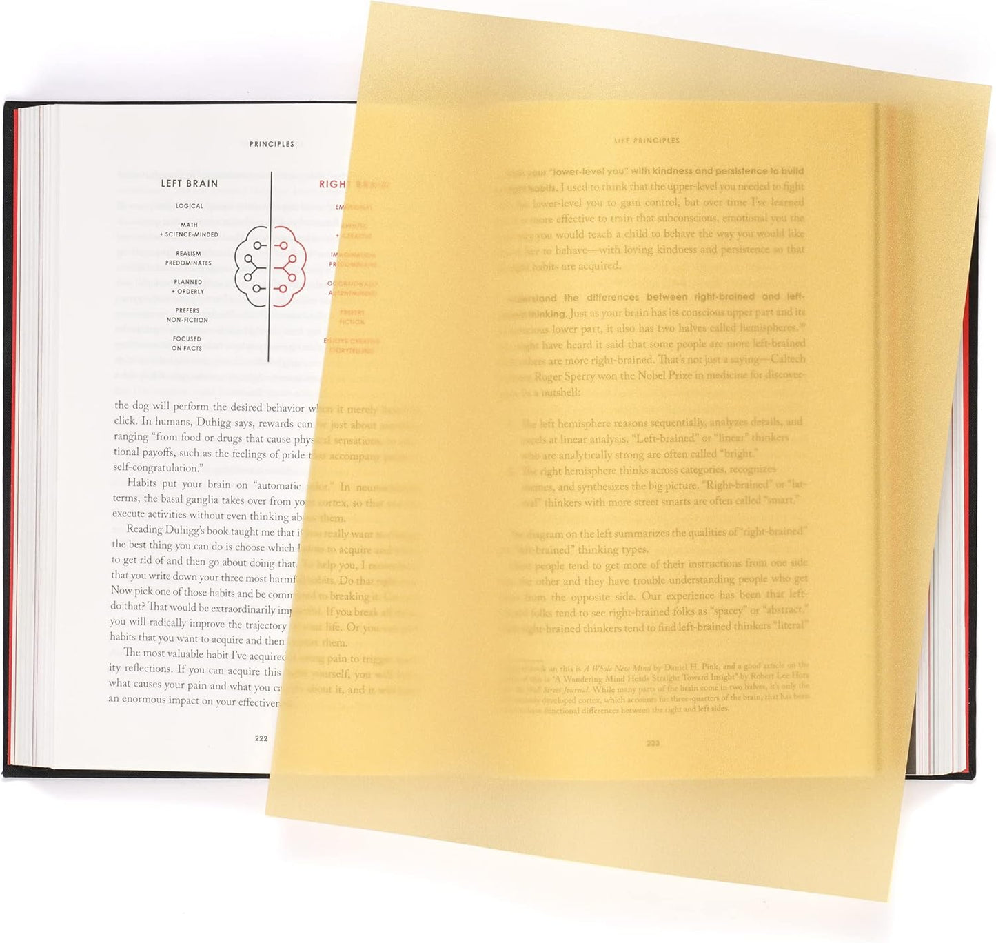 Quotidian Metallic Gold Flat US Letter Translucent Vellum Paper Printable Sheets 8.5" x 11" (21.6 x 27.9cm) Pack of 50 - Sketching Drawing Drafting Tracing