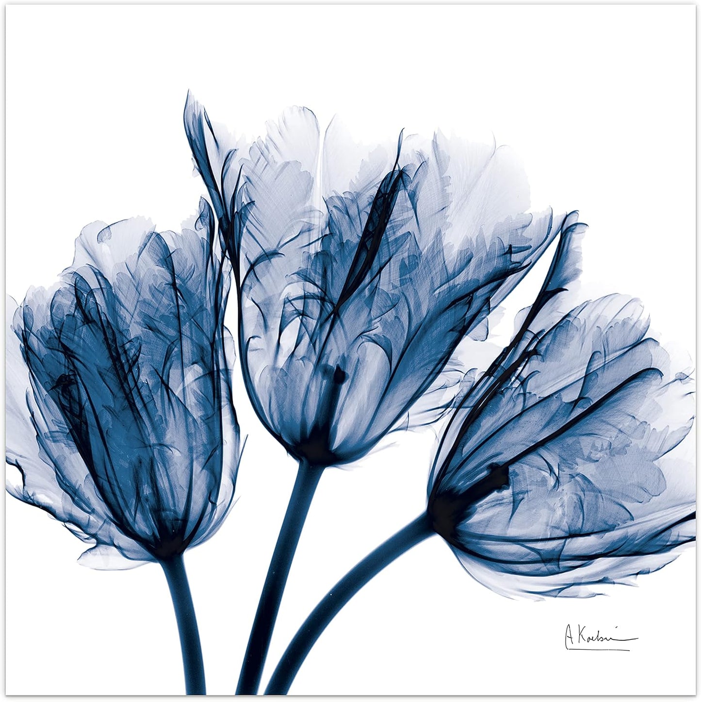 Empire Art Direct - TMP-AK011A-2424 Blue Tulip X-Ray Flower Wall Art on Frameless Free Floating Tempered Glass Panel Ready to Hang, Living Room, Bedroom ＆ Office, 24" x 24" x 0.2"