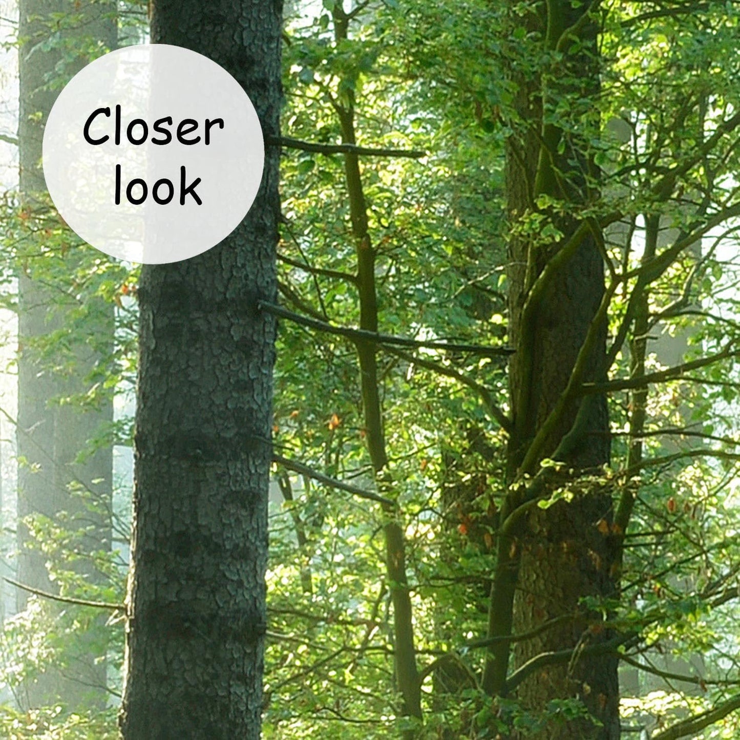 AFZEVEB-Green Forest Wallpaper Natural Landscape Wall murals for Bedroom 136"x96"(Not Peel and Stick)