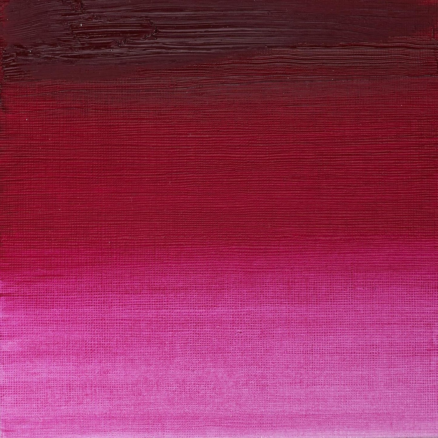 Winsor & Newton Artists' Oil Color, 37ml (1.25 oz) Tube, Permanent Magenta