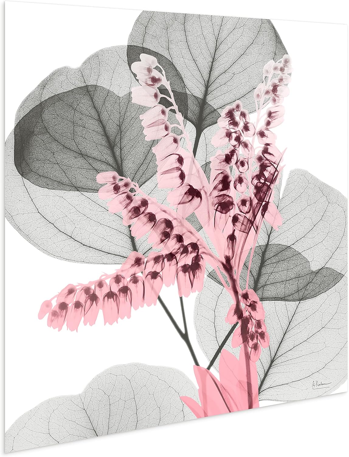 Empire Art Direct Frameless Free Floating Tempered Glass Panel Graphic Wall Art Ready to Hang, 24" x 24", Eucalyptus Bush 1