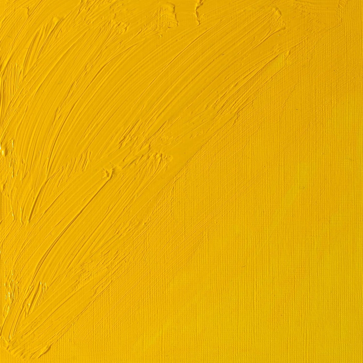 Winsor & Newton Artists' Oil Color, 37ml (1.25 oz) Tube, Chrome Yellow Hue