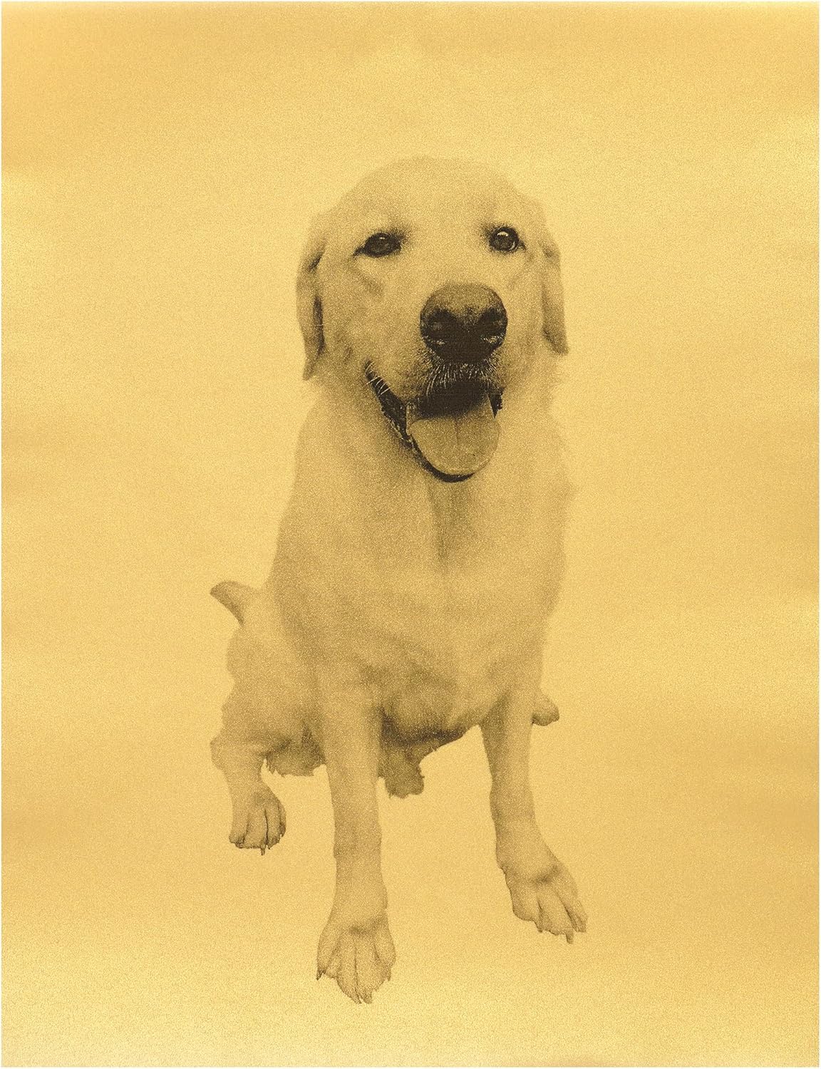 Quotidian Metallic Silver Flat US Letter Translucent Vellum Paper Printable Sheets 8.5" x 11" (21.6 x 27.9cm) Pack of 50 - Sketching Drawing Drafting Tracing