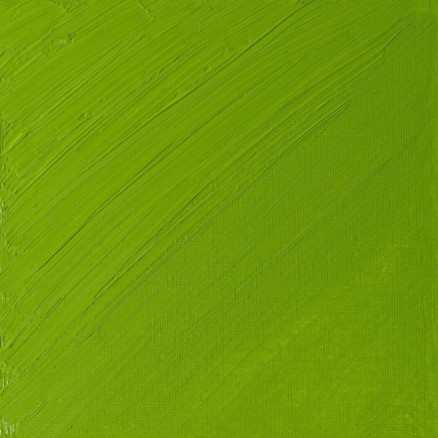 Winsor & Newton Artists' Oil Color, 37ml (1.25 oz) Tube, Cadmium Green Pale