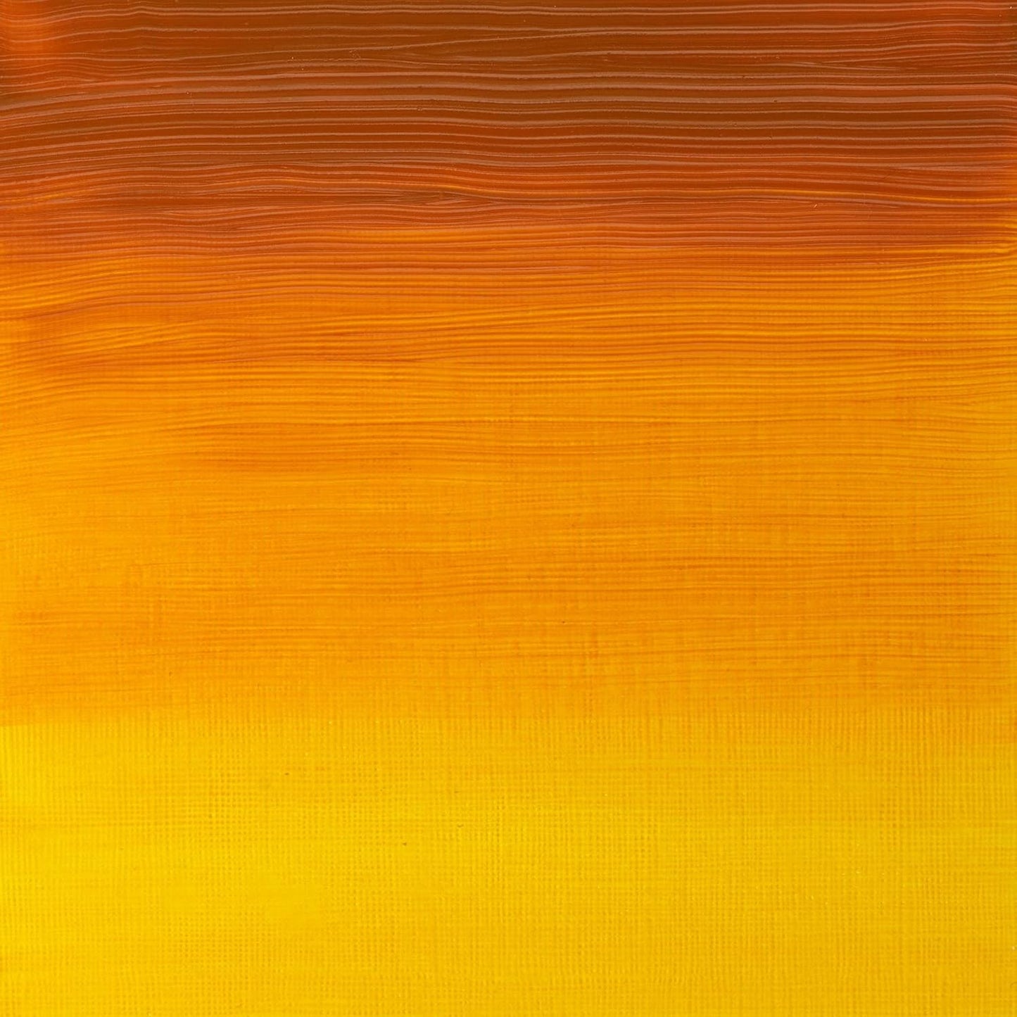 Winsor & Newton Artists' Oil Color, 200ml (6.75 oz) Tube, Indian Yellow