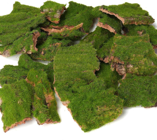 BYHER Assorted Artificial Moss Bark, Decorative Mossy Tree Bark for DIY Crafts, Fairy Gardens, Terrariums, Floral Arrangements (Realistic Green - 100gr)