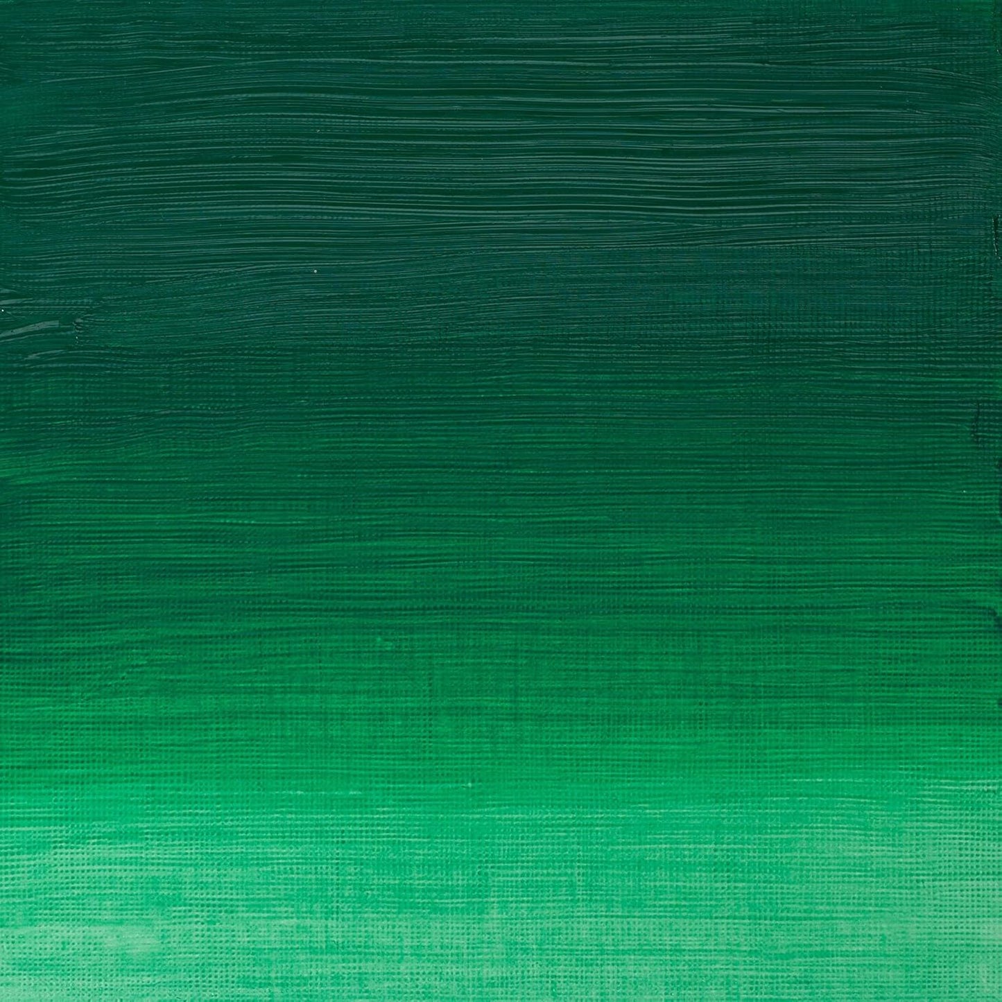 Winsor & Newton Artists' Oil Color, 37ml (1.25 oz) Tube, Permanent Green