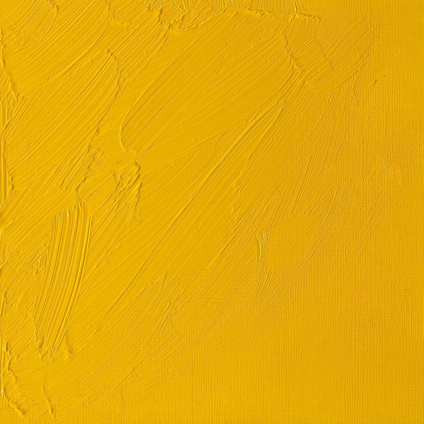 Winsor & Newton Artists' Oil Color, 37ml (1.25 oz) Tube, Cadmium Yellow Pale