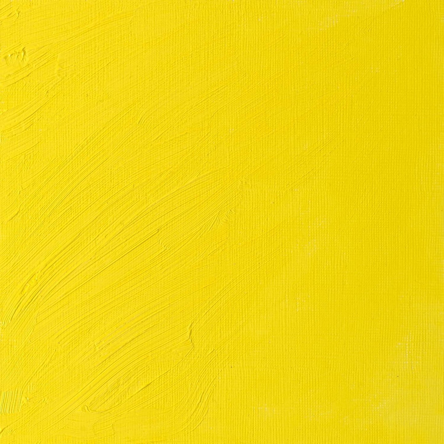 Winsor & Newton Artists' Oil Color, 37ml (1.25 oz) Tube, Bismuth Yellow