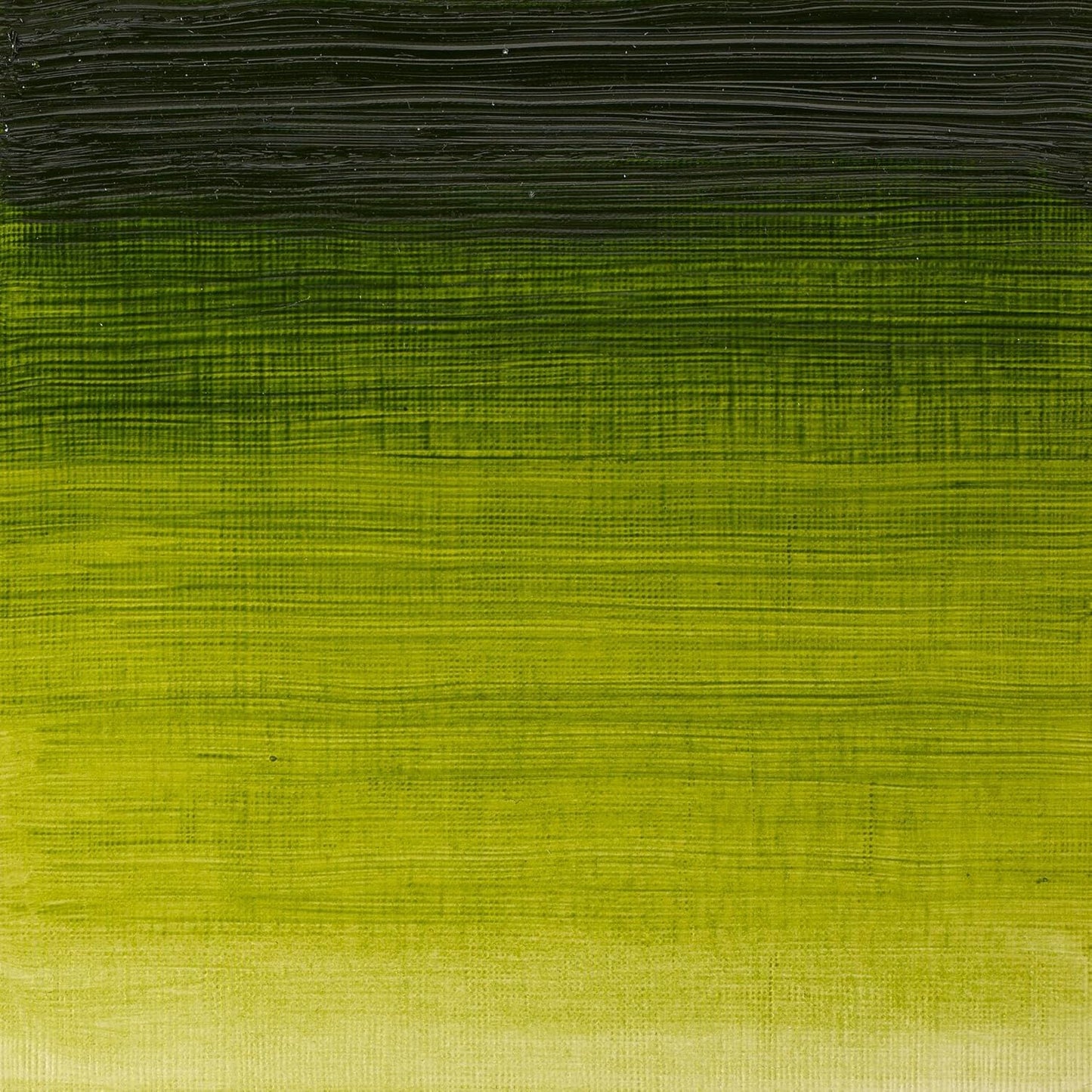 Winsor & Newton Winton Oil Color, 37ml (1.25-oz) Tube, Sap Green