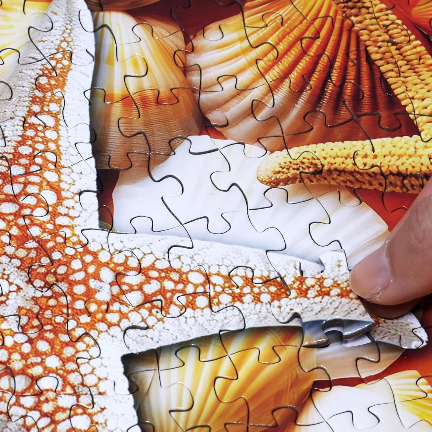 Think2Master Colorful Rainbow of Starfish & Seashells 1000 Pieces Large Format Jigsaw Puzzle for Kids 12+, Teens, Adults & Families. Beautiful Vibrant Illustration Artwork Size: 26.8” X 18.9”